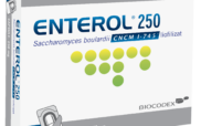 Enterol left2 10 capsule 250mg